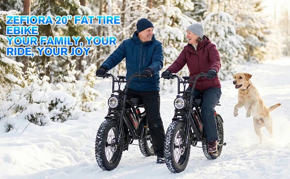 20 Inch Wild Beast Ebike,Certified UL2849 45° Climbing Adjustable Front Brake Seat Factory Original Free Local Shipping