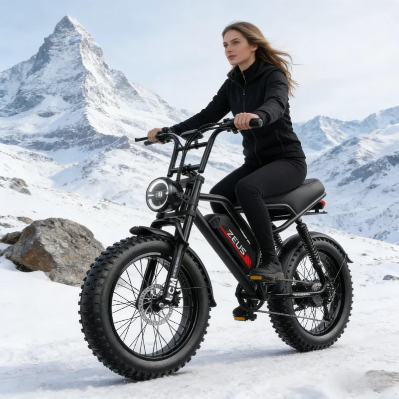 20 Inch Wild Beast Ebike,Certified UL2849 45° Climbing Adjustable Front Brake Seat Factory Original Free Local Shipping